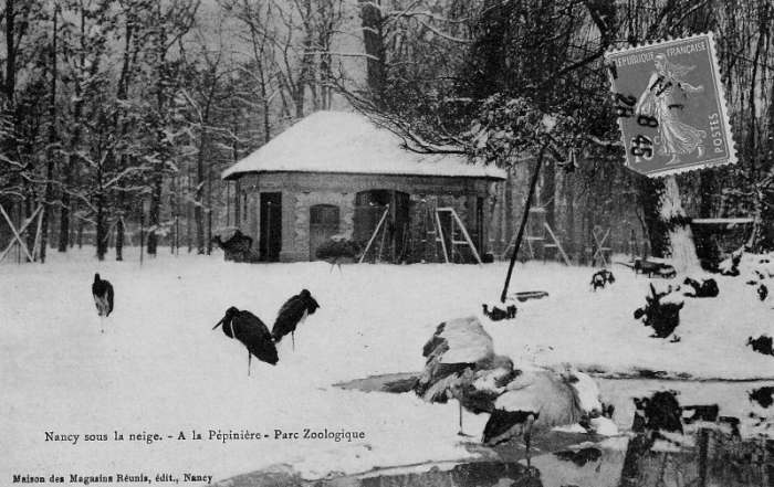 Pépinière : Parc zoologique