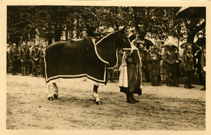 Le cheval d'armes du Maréchal