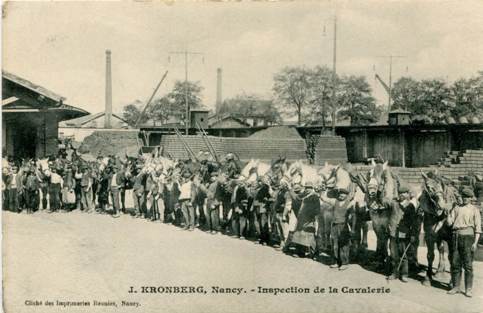 Inspection de la cavalerie