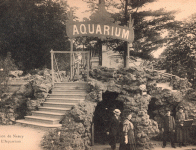 L'aquarium