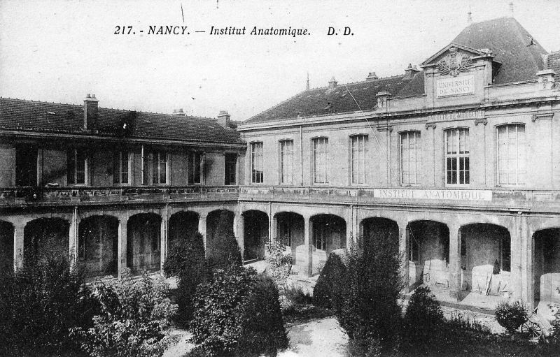 Institut Anatomique