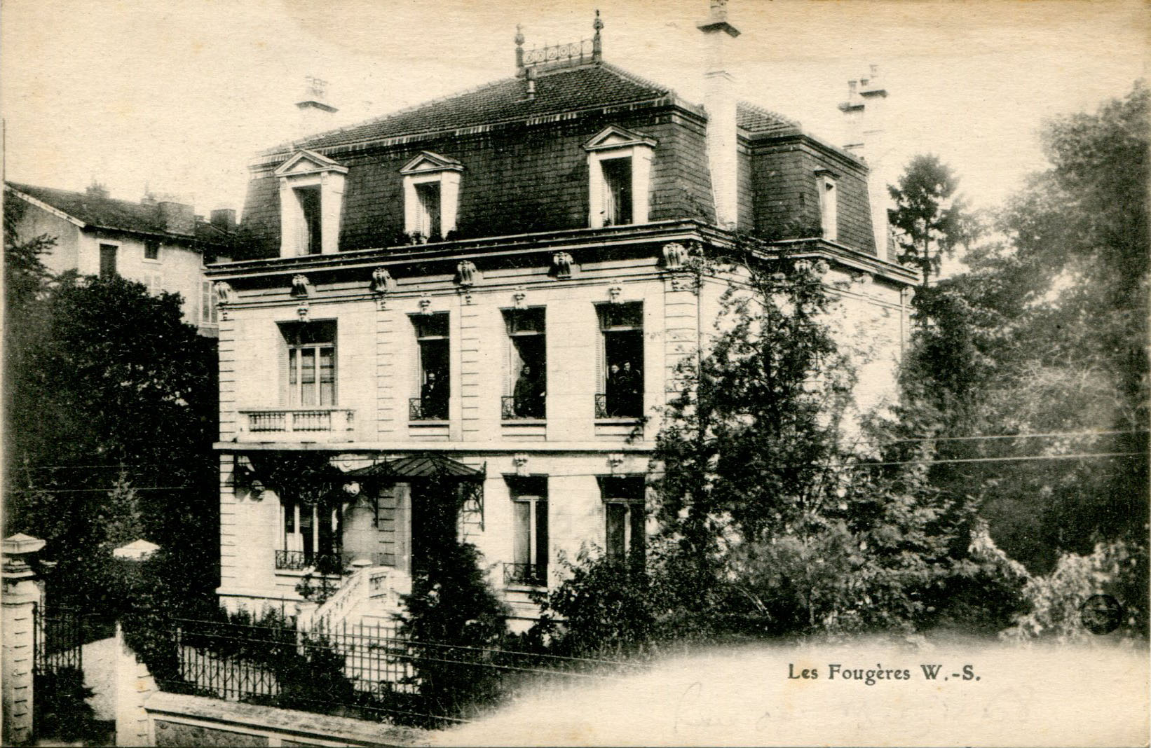 Les Fougères