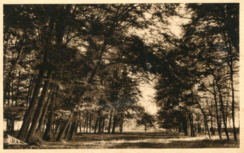 Un coin du Parc