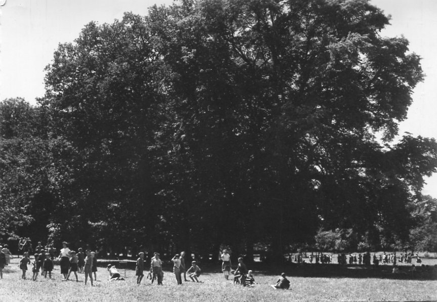 En récréation dans le Parc