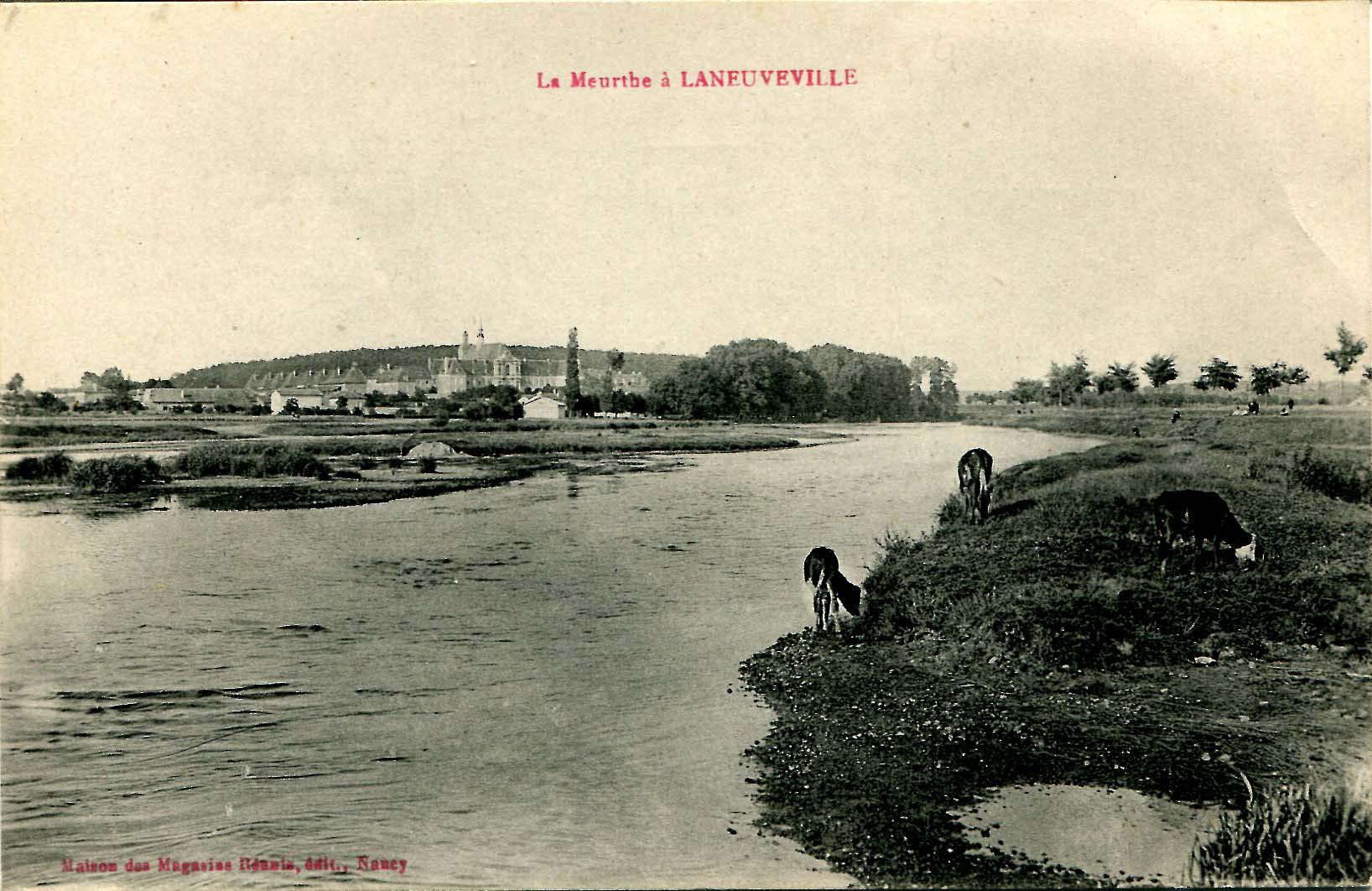 La Meurthe à Laneuveville