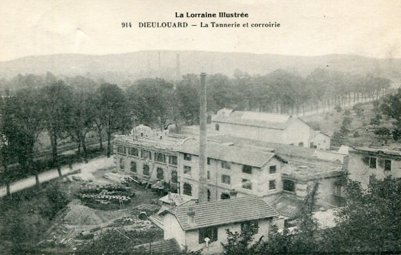 Tannerie et corrorie