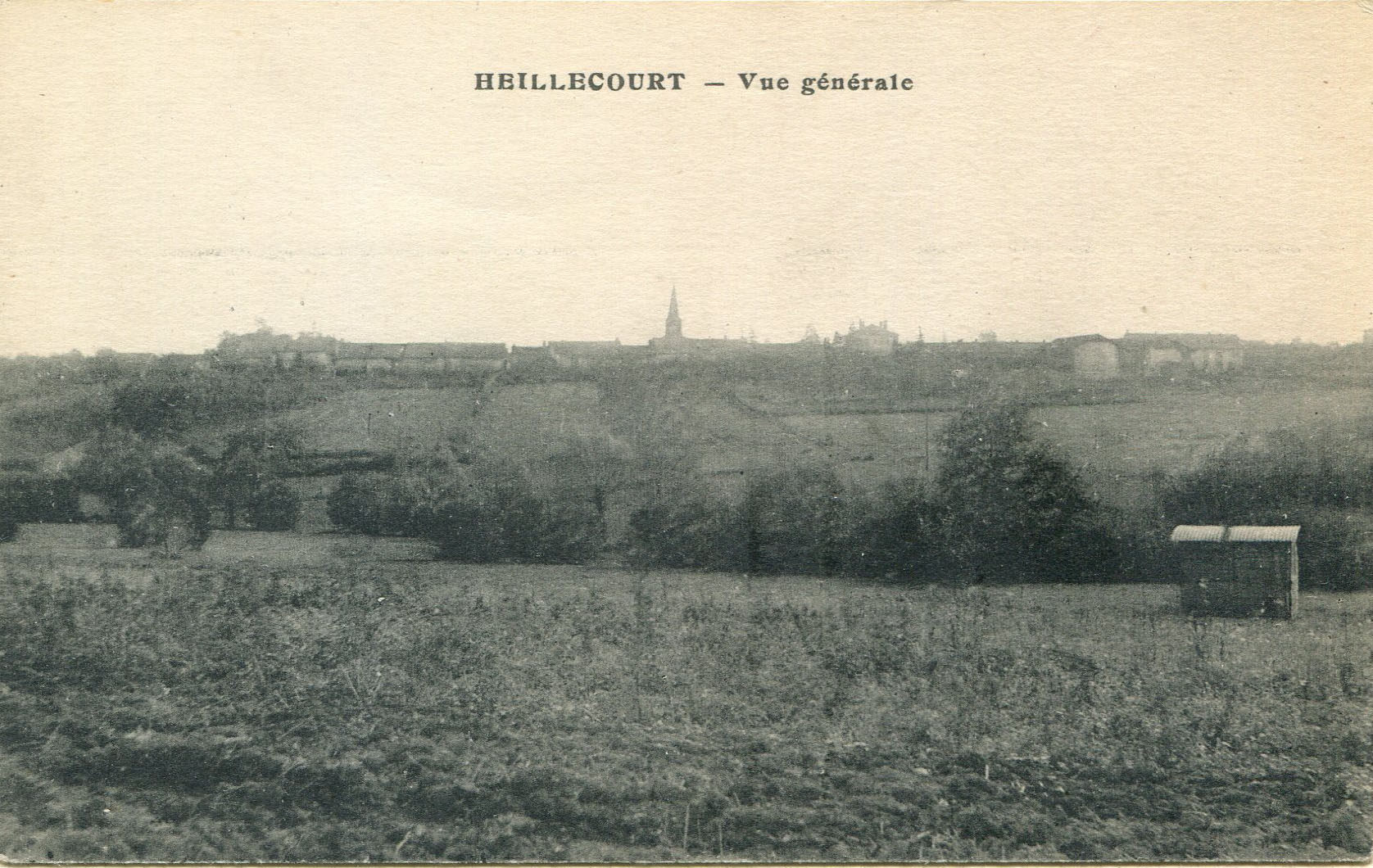 ■ Vue générale [Vigne des Sables]