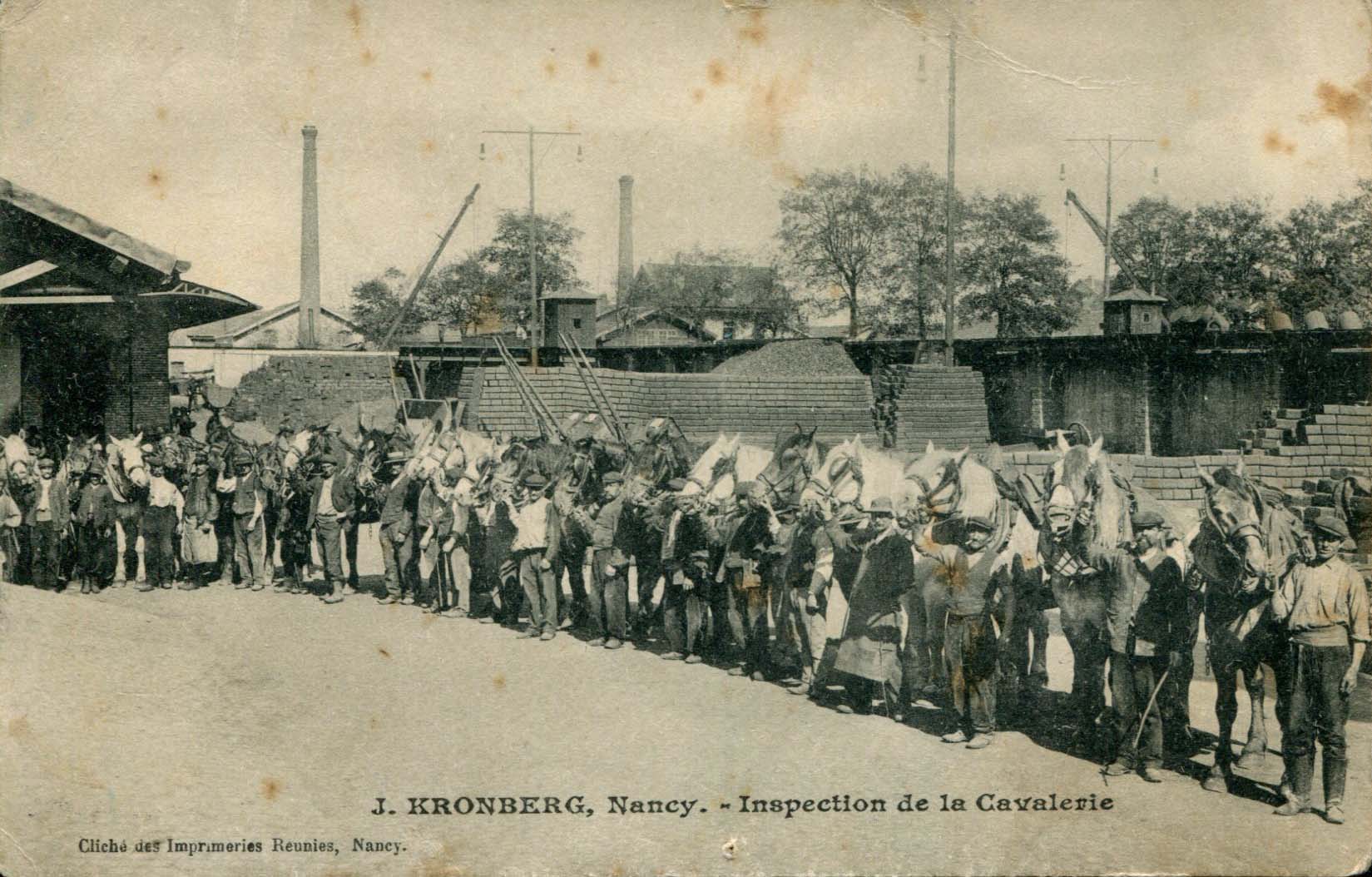 Inspection de la cavalerie