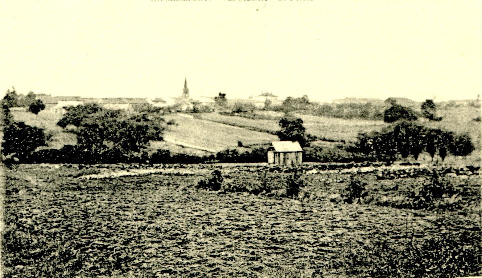 Vue générale -  [Vigne des Sables]