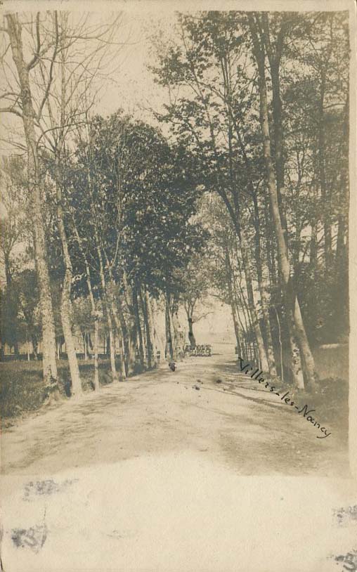 Dans le Parc 