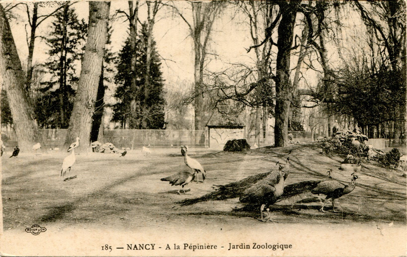 Jardin zoologique