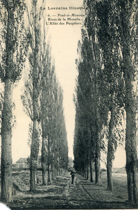 Allée des Peupliers