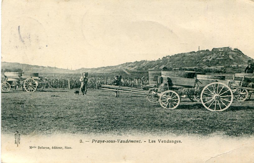 Les vendanges