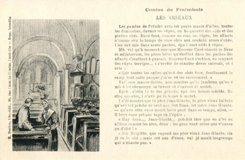 Les oiseaux