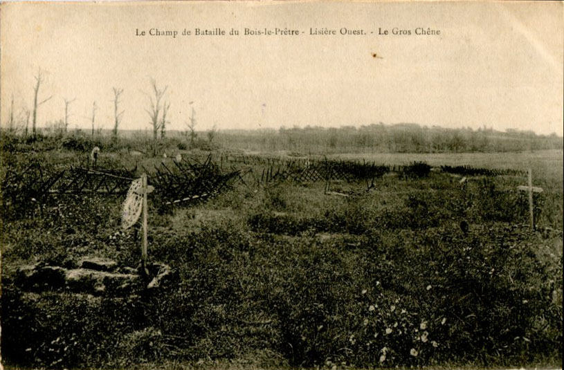 Le Gros Chêne