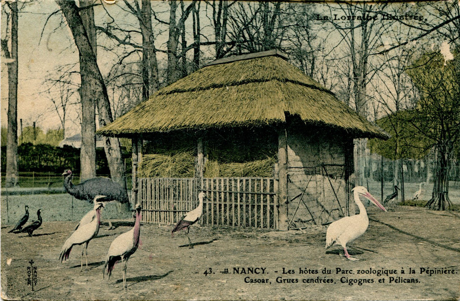 Parc zoologique -c