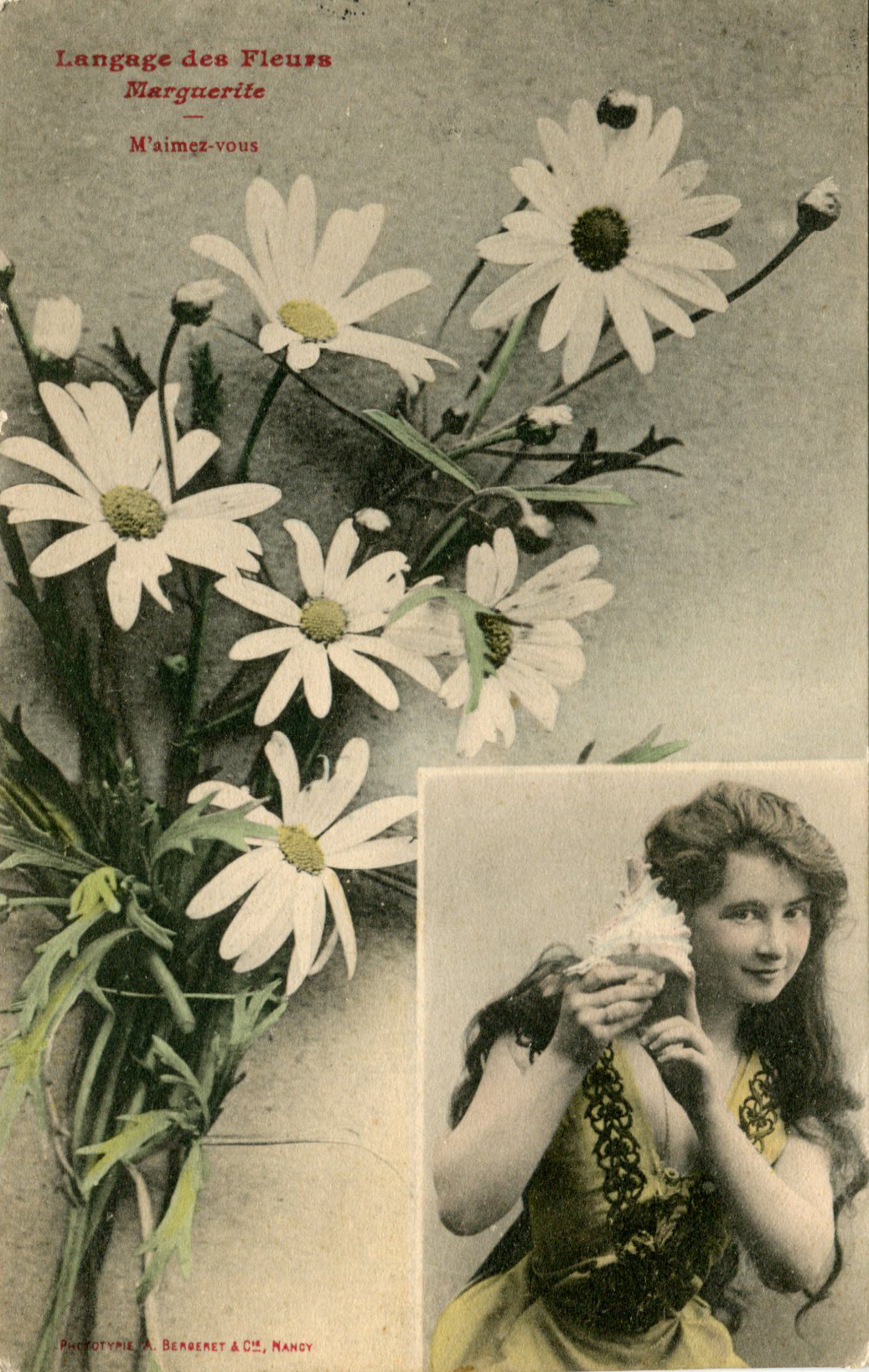 Marguerite