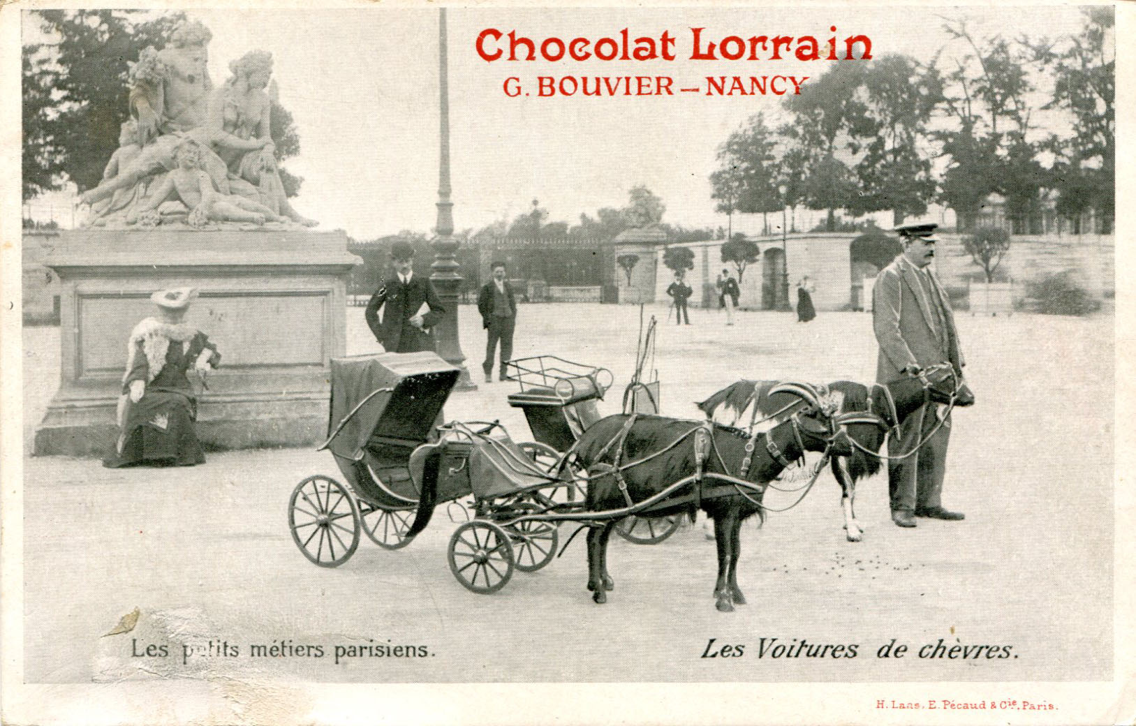 Voitures de chèvres