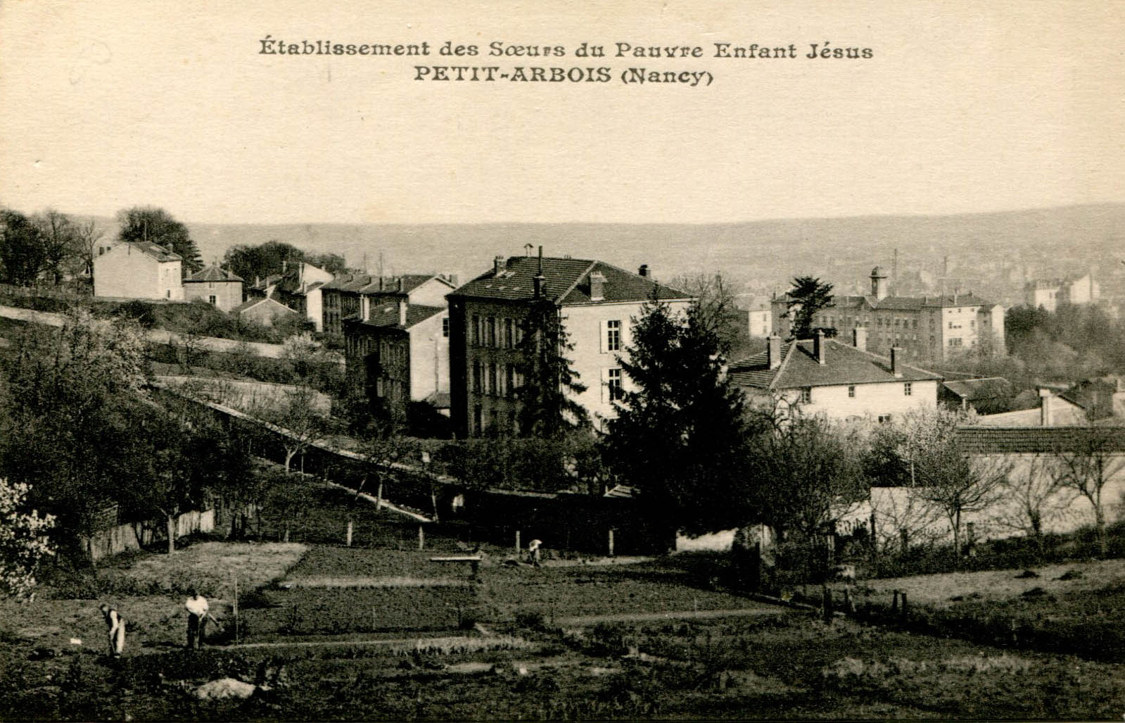 Petit Arbois