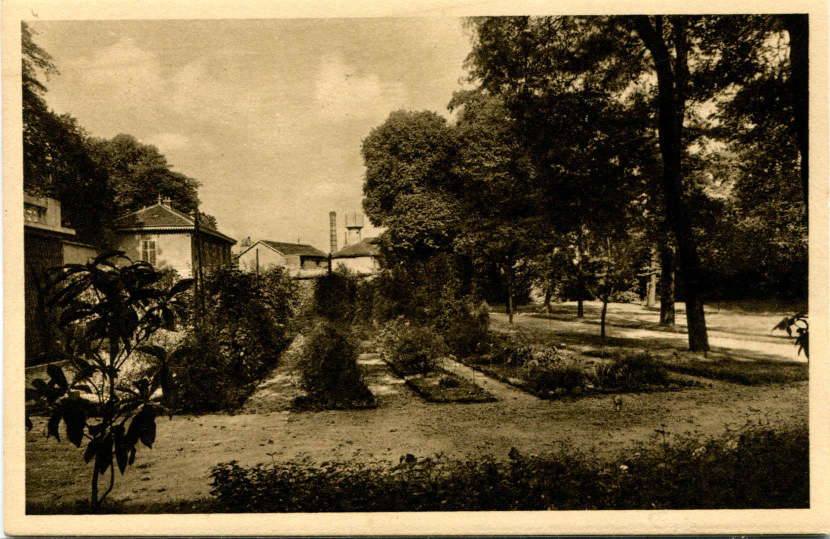 07-Jardin - Collection d'arbres et d'arbustes