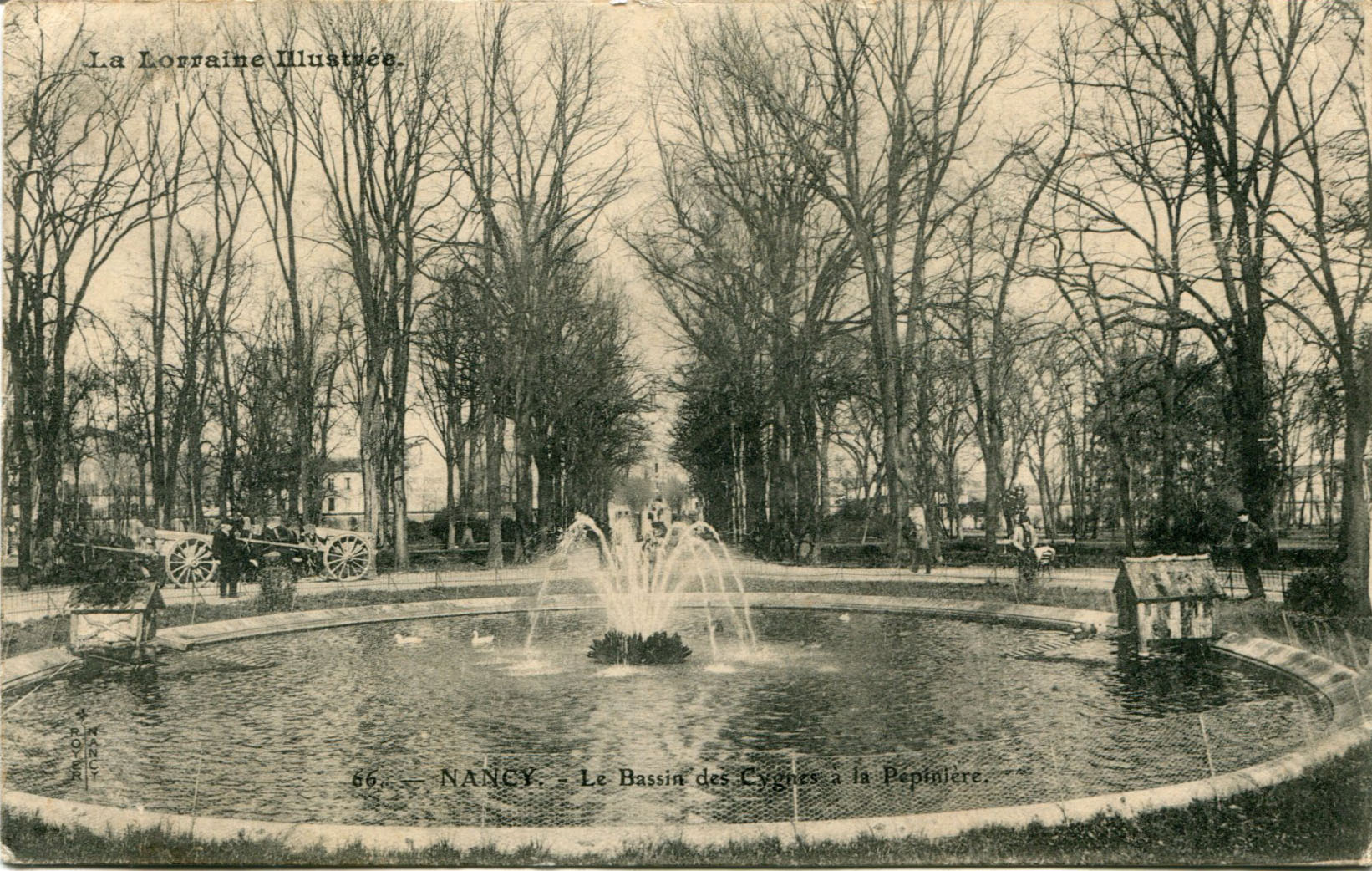 Bassin des cygnes