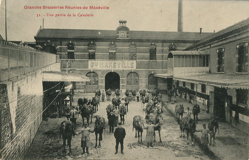31 - La cavalerie