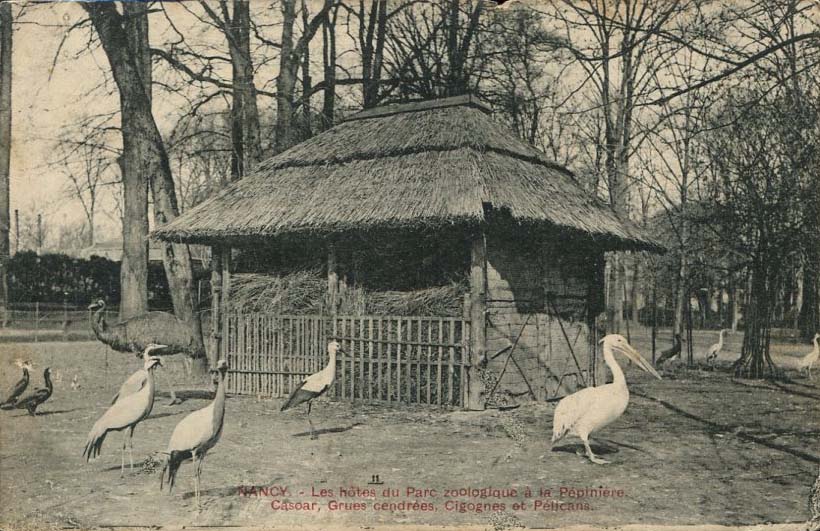 Parc zoologique -n