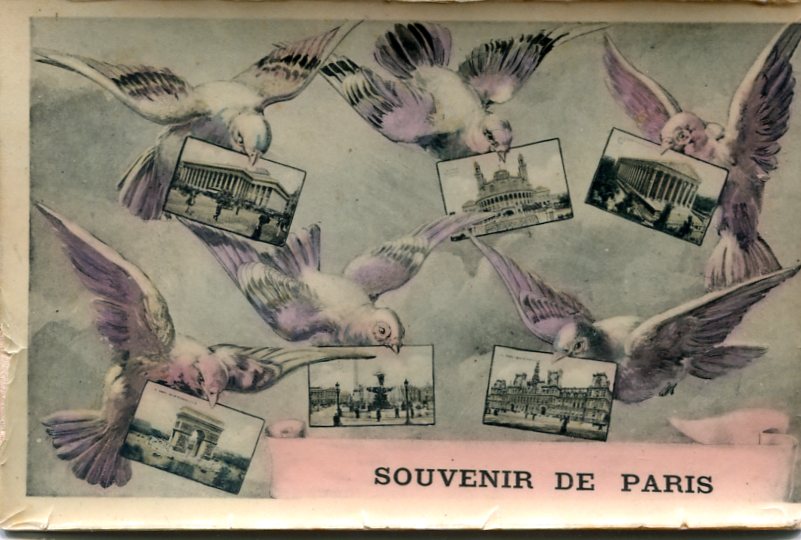 Souvenir-010