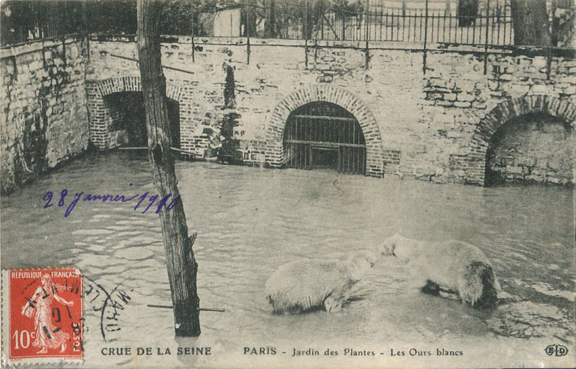 Jardin des Plantes