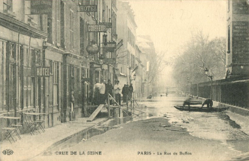 Rue de Buffon