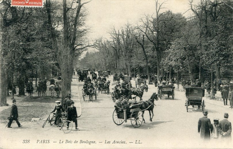 Les acacias