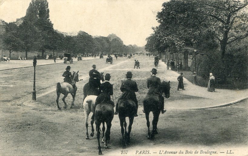 L'avenue