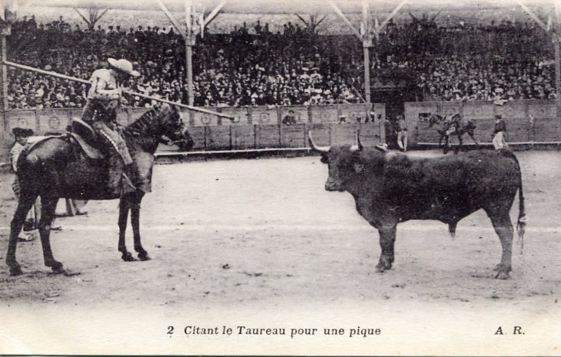 2 - Citant le taureau pour une pique