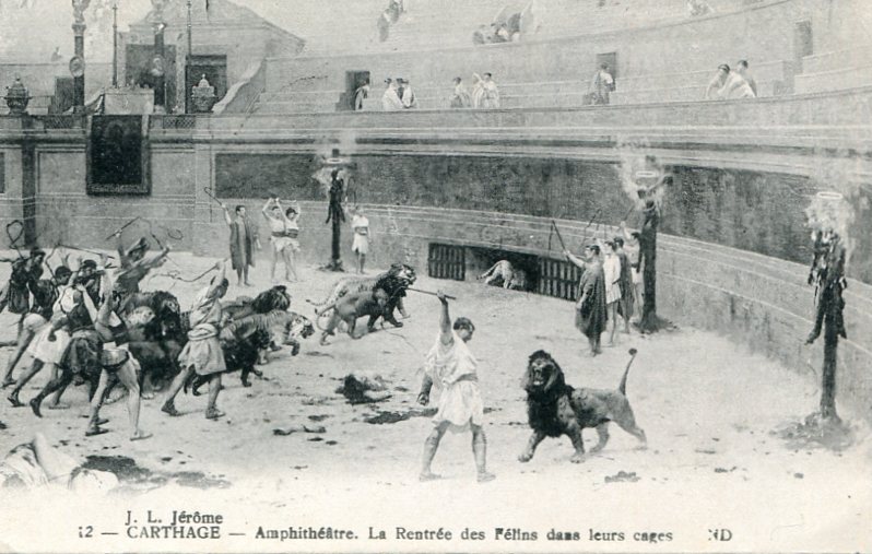 Rentrée des félins dans les cages