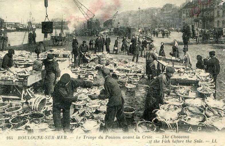 Triage du poisson -v