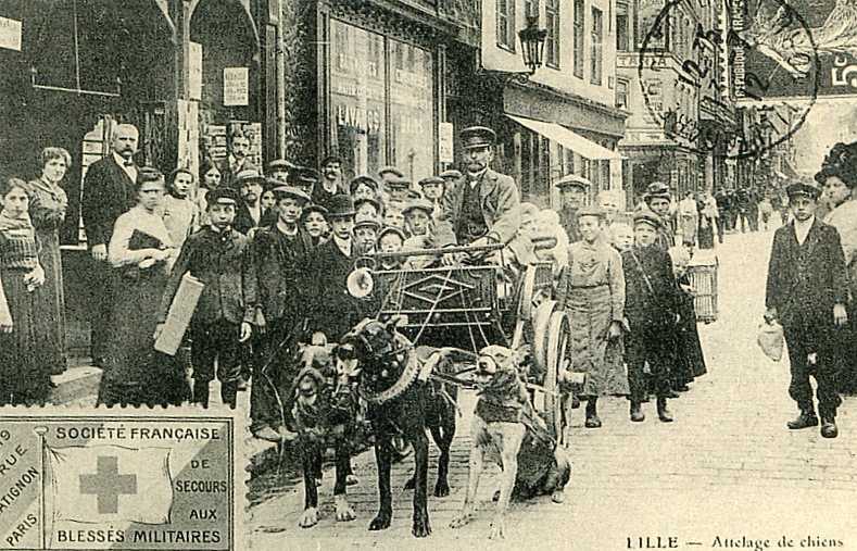 Attelage du pauvre -v