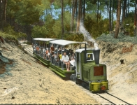 54 - Le P'tit Train de Saint-Trojan (Île d'Oléron)