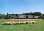 Locomotive à vapeur 98812