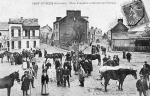 Normandie - Marché aux chevaux