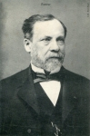 Pasteur -v