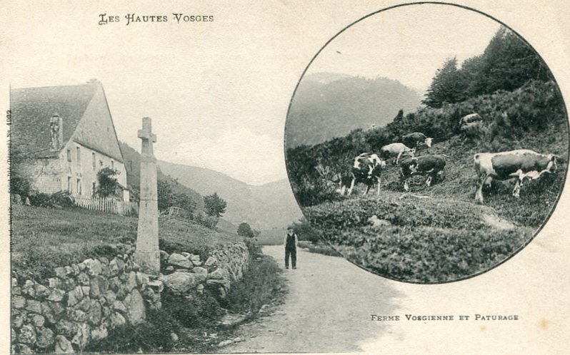 Ferme vosgienne et pâturage