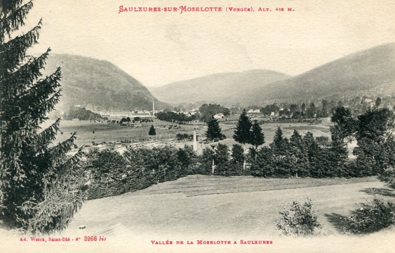 Vallée de la Moselotte à Saulxures