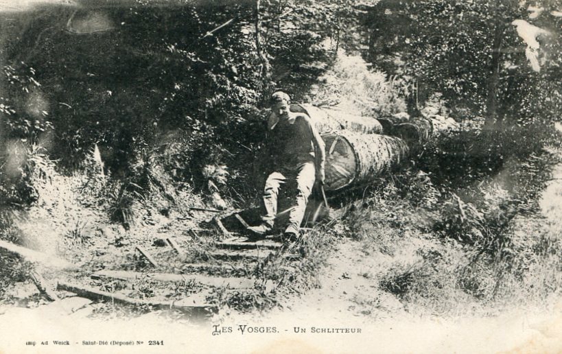 Schlittage d'un tronc