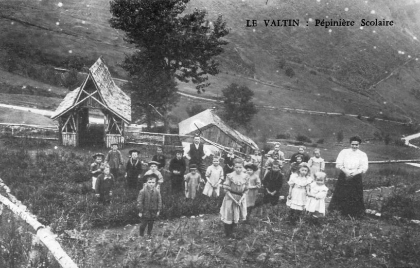 Pépinière scolaire