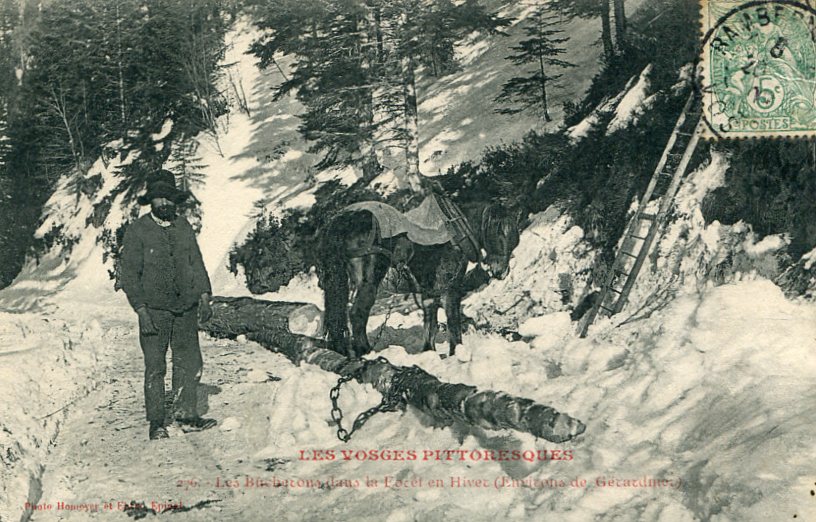 Bûcherons en hiver