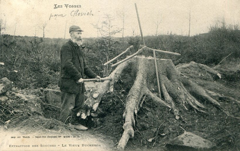 Extraction des souches