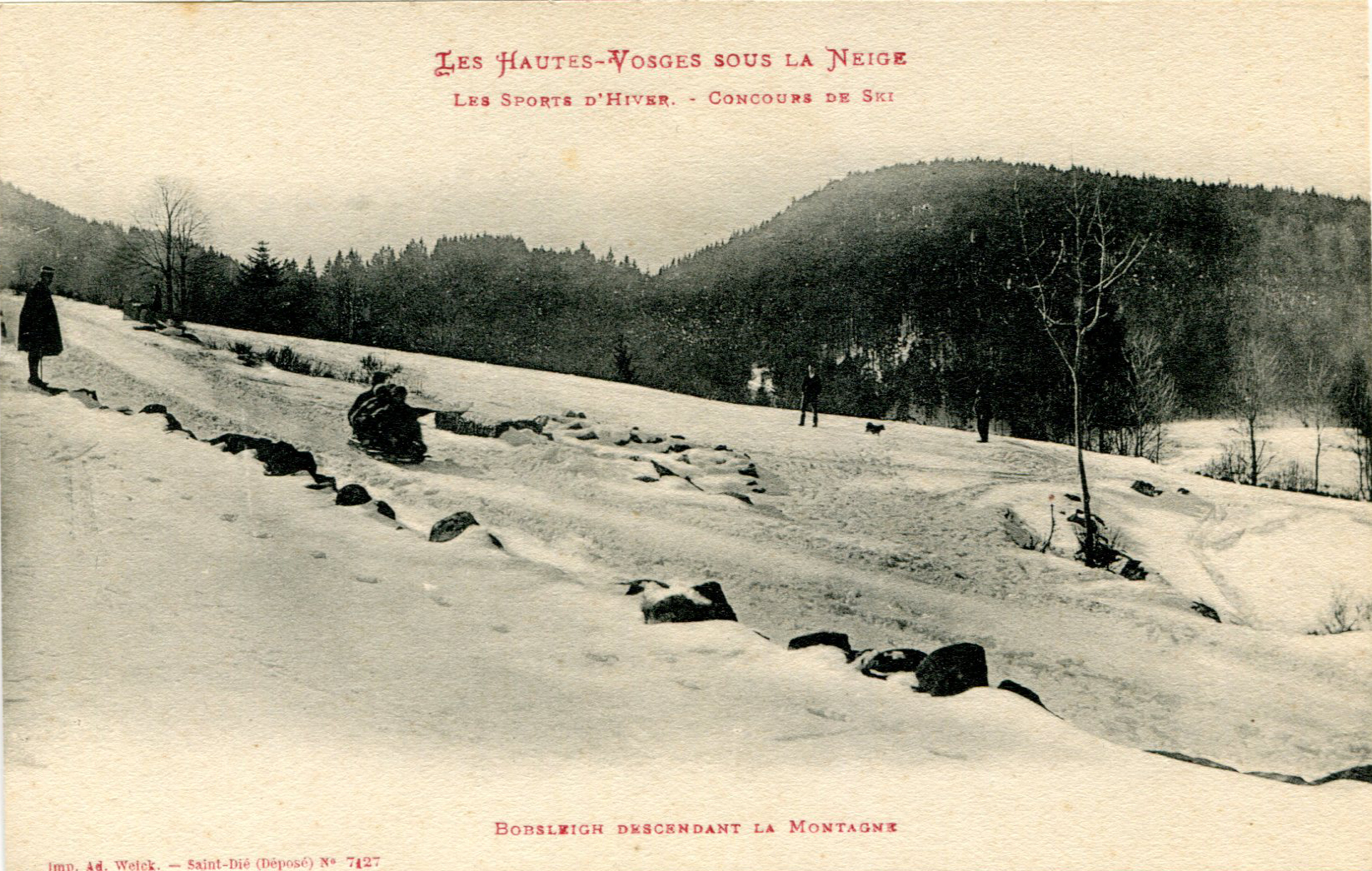 Bobsleigh descendant la montagne