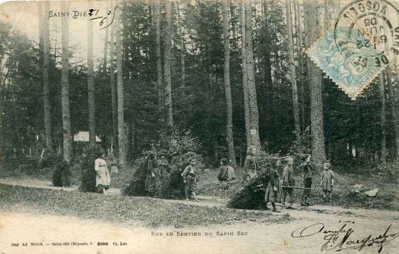 Sentier du Sapin-Sec