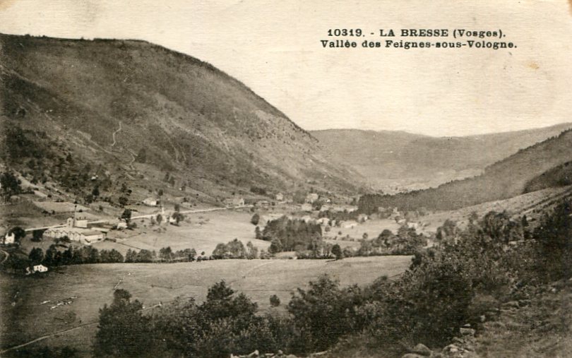 Vallée des Feignes-sous-Vologne