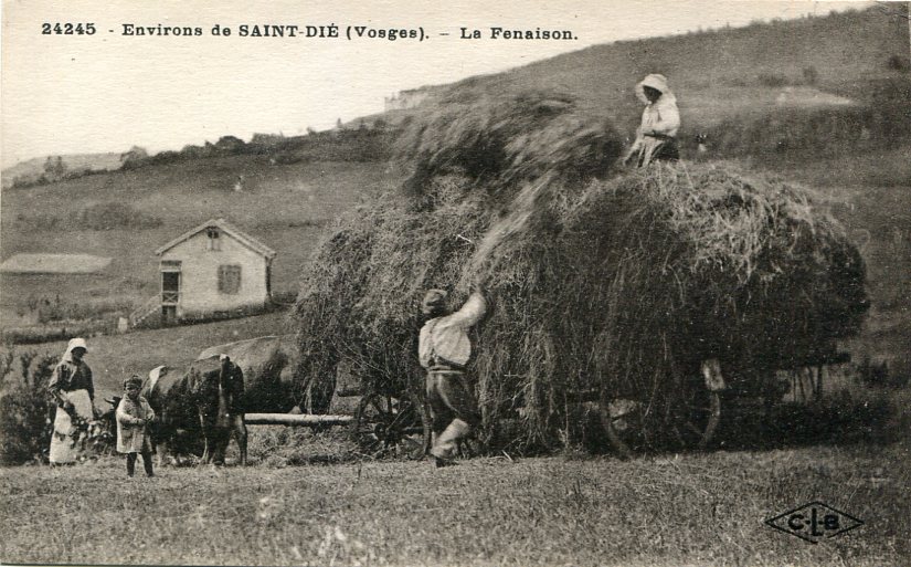 La fenaison